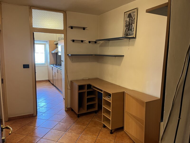 Ion Mihalache, Maresal Averescu,