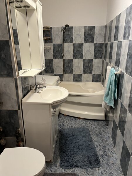 Ion Mihalache, Maresal Averescu,