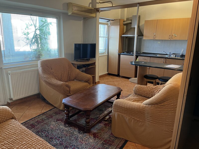 Ion Mihalache, Maresal Averescu,