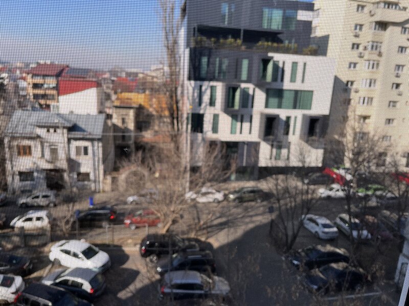 Ion Mihalache, Maresal Averescu,